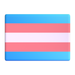 transgender flag